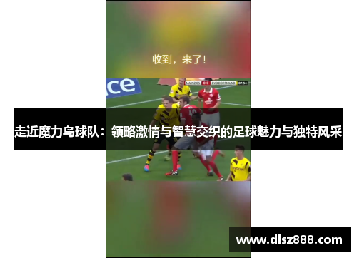 走近魔力鸟球队：领略激情与智慧交织的足球魅力与独特风采